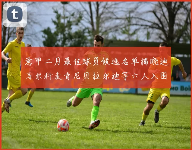 意甲二月最佳球员候选名单揭晓迪马尔科麦肯尼贝拉尔迪等六人入围