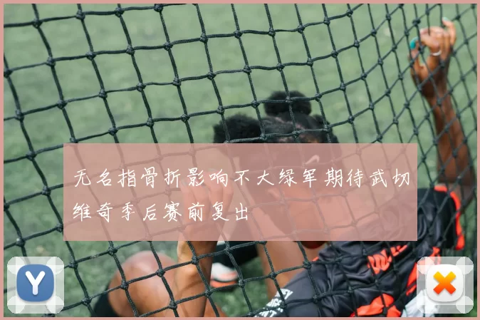 无名指骨折影响不大绿军期待武切维奇季后赛前复出